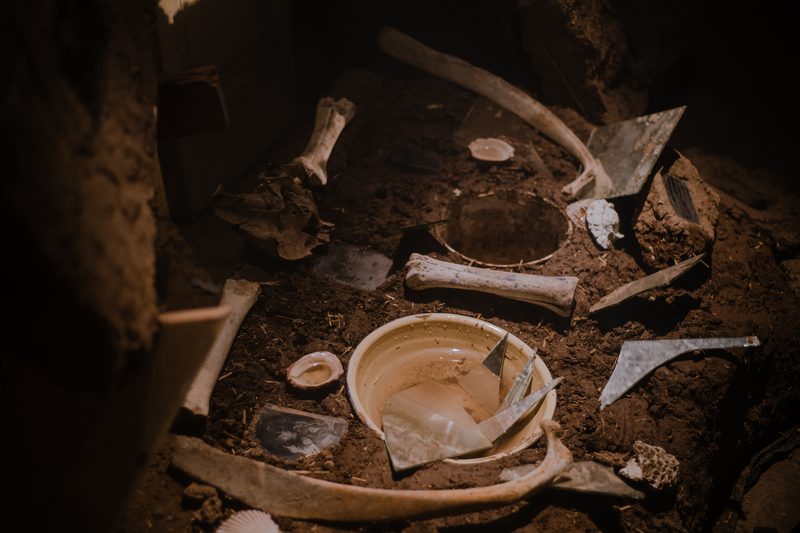 Aqua Vitae — Casa Fósfora, 2026 — Fotografía de la exposición 1
