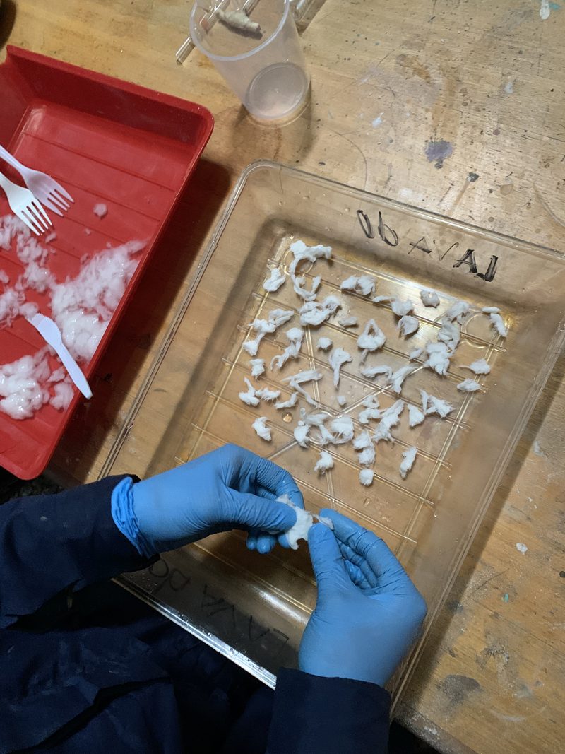 Diario de colodión — fotografía de proceso 1