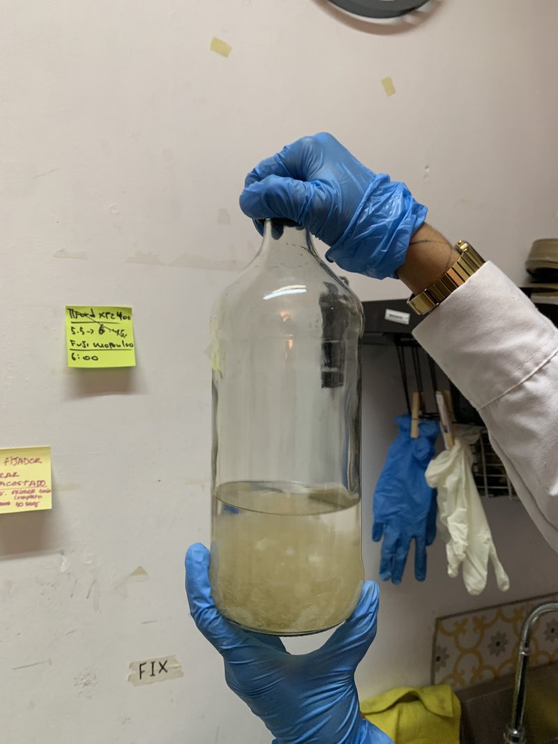 Diario de colodión — fotografía de proceso 5