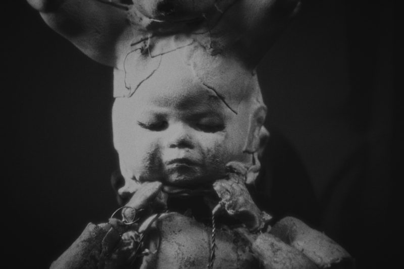 Merrimundi — fotograma