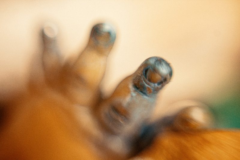 Merrimundi — realización, fotografía 11